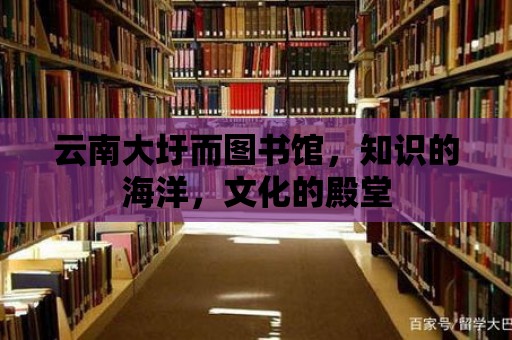 云南大圩而圖書館，知識的海洋，文化的殿堂