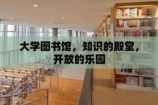 大學圖書館，知識的殿堂，開放的樂園