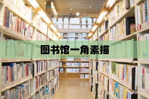 圖書館一角素描