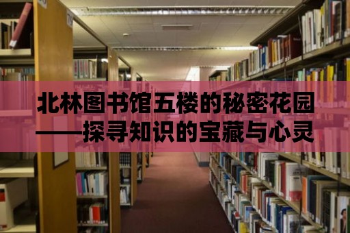 北林圖書館五樓的秘密花園——探尋知識的寶藏與心靈的憩息地