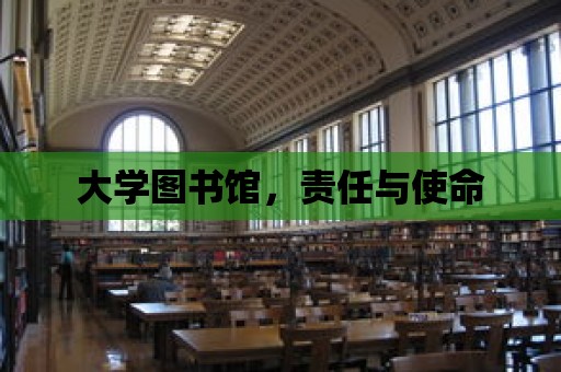 大學圖書館，責任與使命