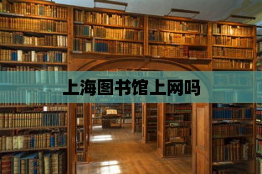 上海圖書館上網(wǎng)嗎