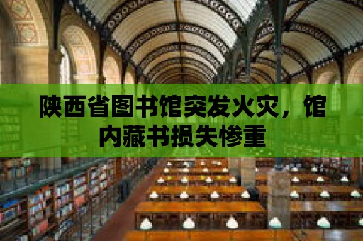 陜西省圖書館突發(fā)火災(zāi)，館內(nèi)藏書損失慘重