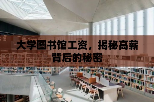 大學(xué)圖書館工資，揭秘高薪背后的秘密