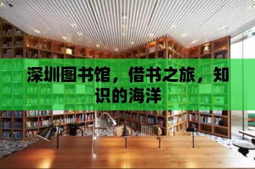 深圳圖書館，借書之旅，知識的海洋