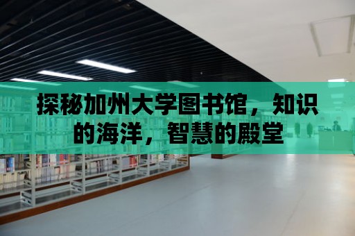 探秘加州大學圖書館，知識的海洋，智慧的殿堂