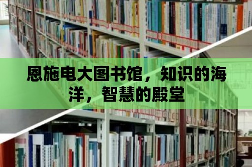 恩施電大圖書館，知識的海洋，智慧的殿堂