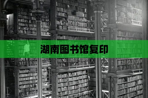 湖南圖書館復印