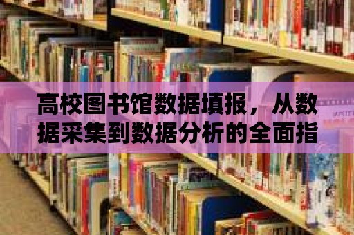 高校圖書館數據填報，從數據采集到數據分析的全面指南