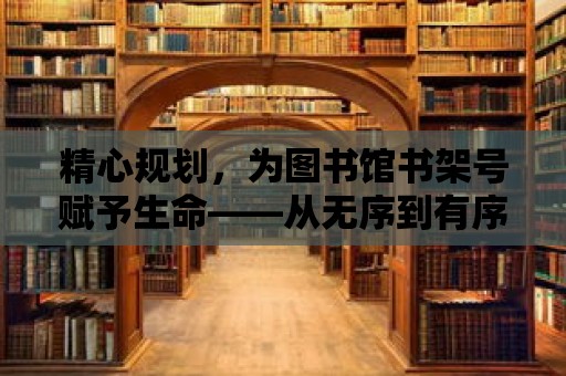 精心規(guī)劃，為圖書館書架號賦予生命——從無序到有序的智慧之旅