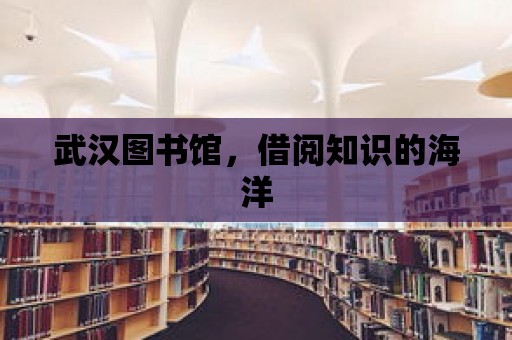 武漢圖書館，借閱知識的海洋