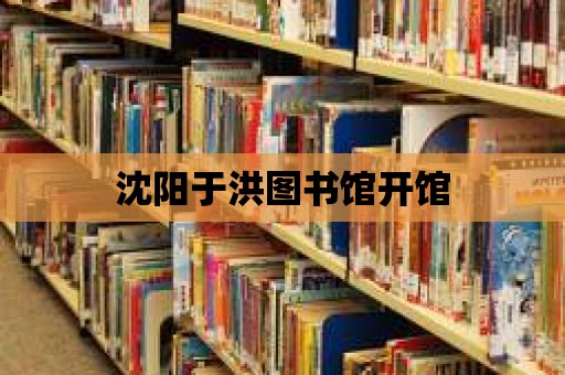 沈陽于洪圖書館開館