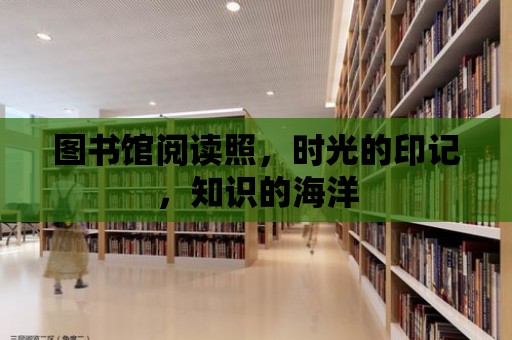 圖書館閱讀照，時光的印記，知識的海洋