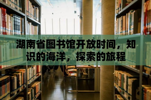 湖南省圖書館開放時間，知識的海洋，探索的旅程