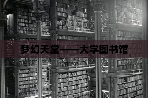 夢幻天堂——大學圖書館