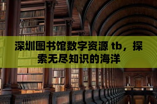 深圳圖書館數字資源 tb，探索無盡知識的海洋