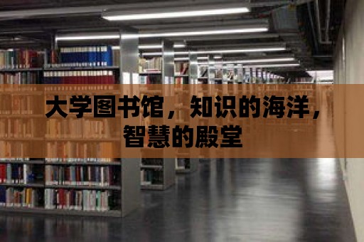 大學圖書館，知識的海洋，智慧的殿堂