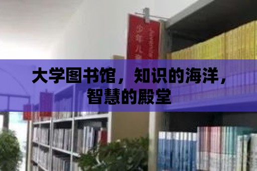 大學(xué)圖書館，知識的海洋，智慧的殿堂