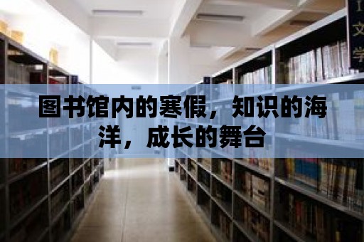 圖書館內的寒假，知識的海洋，成長的舞臺