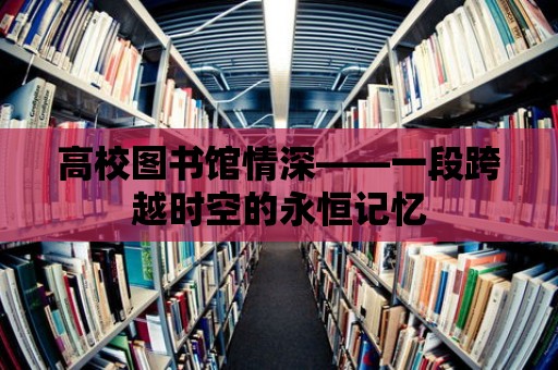 高校圖書館情深——一段跨越時空的永恒記憶