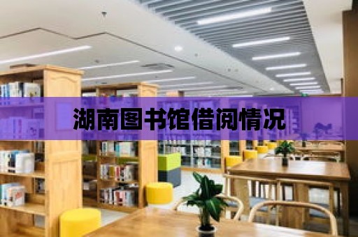 湖南圖書館借閱情況