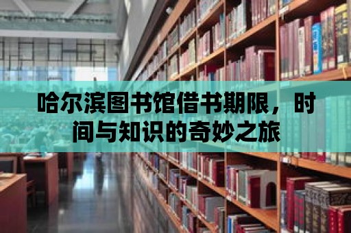 哈爾濱圖書館借書期限，時間與知識的奇妙之旅