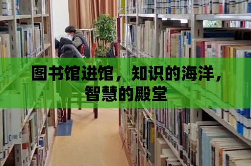 圖書館進館，知識的海洋，智慧的殿堂