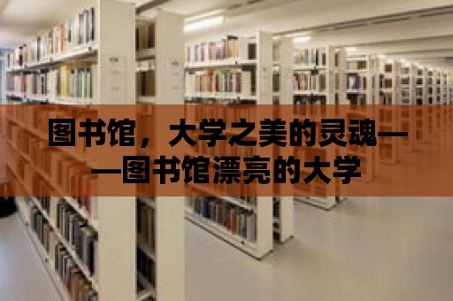 圖書館，大學(xué)之美的靈魂——圖書館漂亮的大學(xué)