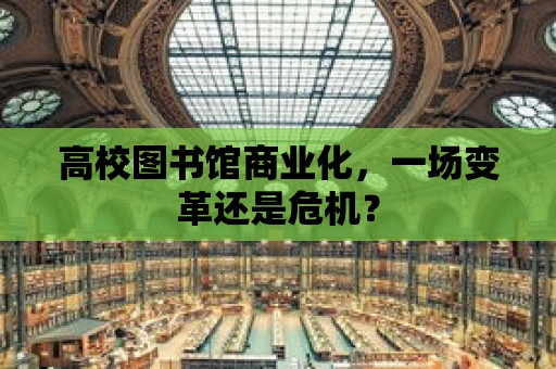 高校圖書館商業(yè)化，一場變革還是危機(jī)？