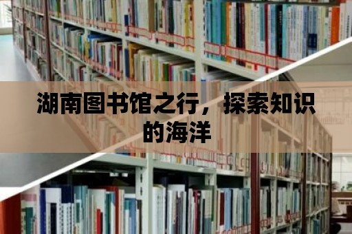 湖南圖書館之行，探索知識的海洋