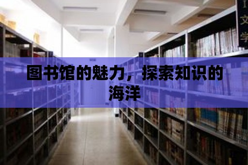 圖書館的魅力，探索知識的海洋