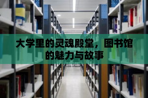 大學里的靈魂殿堂，圖書館的魅力與故事