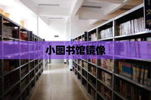 小圖書館鏡像