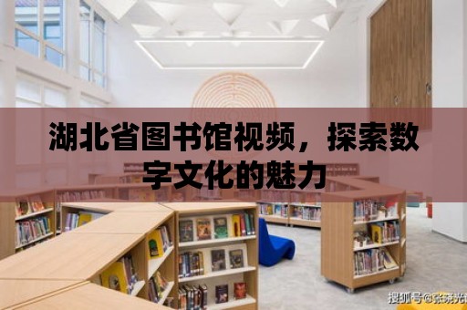 湖北省圖書館視頻，探索數字文化的魅力