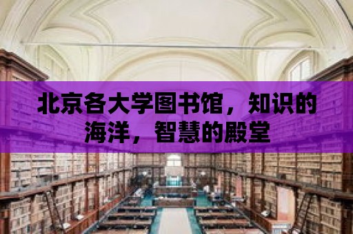 北京各大學圖書館，知識的海洋，智慧的殿堂