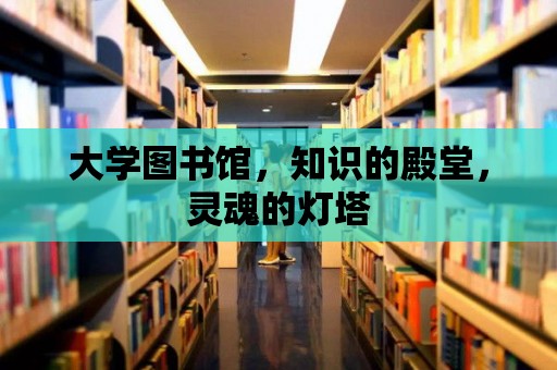 大學(xué)圖書館，知識(shí)的殿堂，靈魂的燈塔