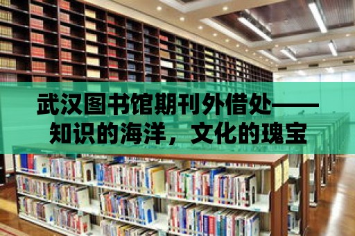 武漢圖書館期刊外借處——知識的海洋，文化的瑰寶