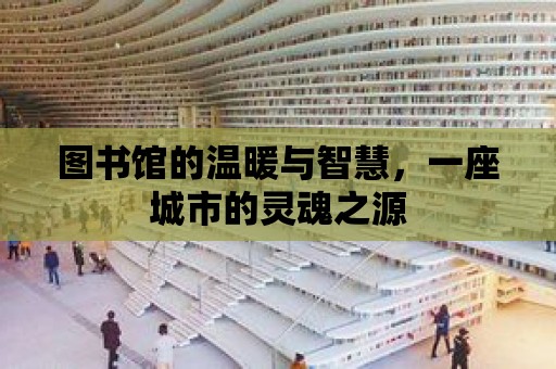 圖書館的溫暖與智慧，一座城市的靈魂之源