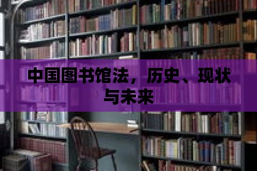 中國圖書館法，歷史、現(xiàn)狀與未來