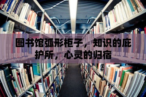 圖書館弧形柜子，知識的庇護所，心靈的歸宿