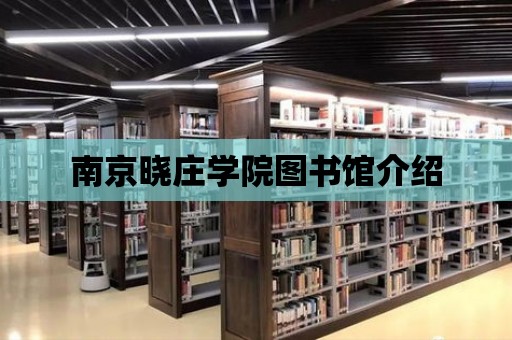 南京曉莊學(xué)院圖書館介紹