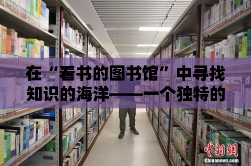 在“看書的圖書館”中尋找知識的海洋——一個獨特的閱讀空間