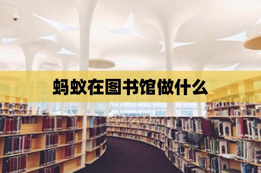 螞蟻在圖書館做什么