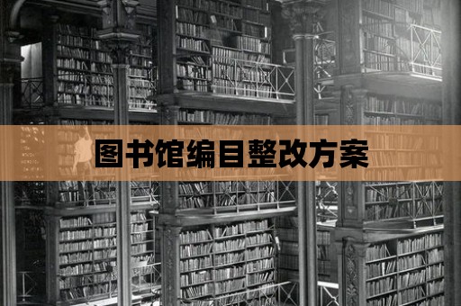 圖書館編目整改方案