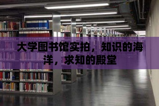 大學圖書館實拍，知識的海洋，求知的殿堂