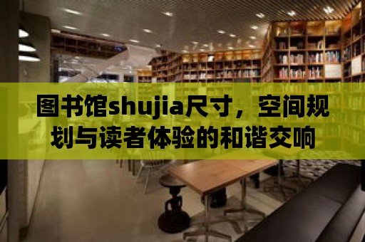 圖書館shujia尺寸，空間規劃與讀者體驗的和諧交響