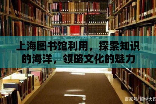 上海圖書館利用，探索知識的海洋，領略文化的魅力