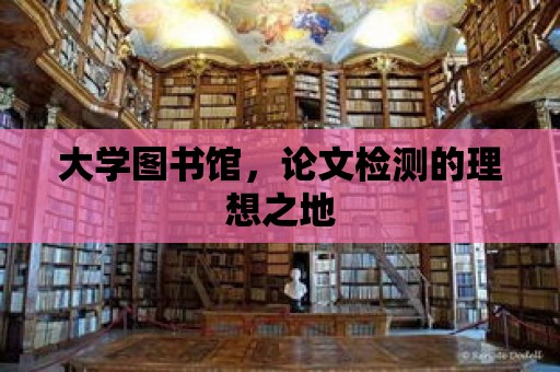 大學圖書館，論文檢測的理想之地