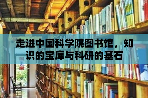 走進中國科學院圖書館，知識的寶庫與科研的基石