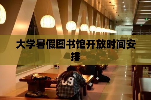 大學(xué)暑假圖書館開放時間安排